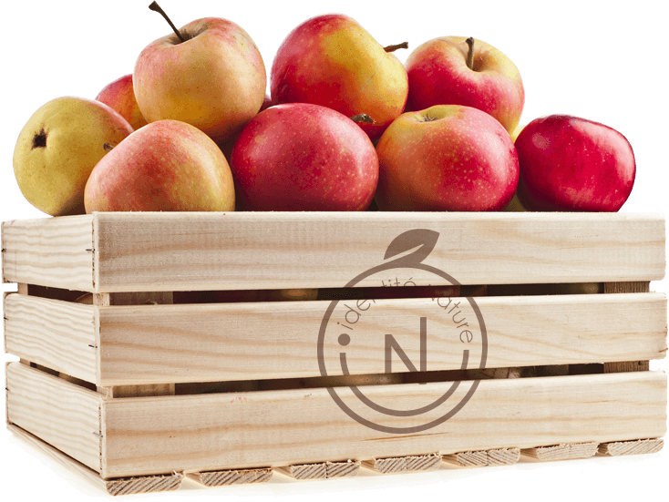 Livraison de pommes gravées publicitaires