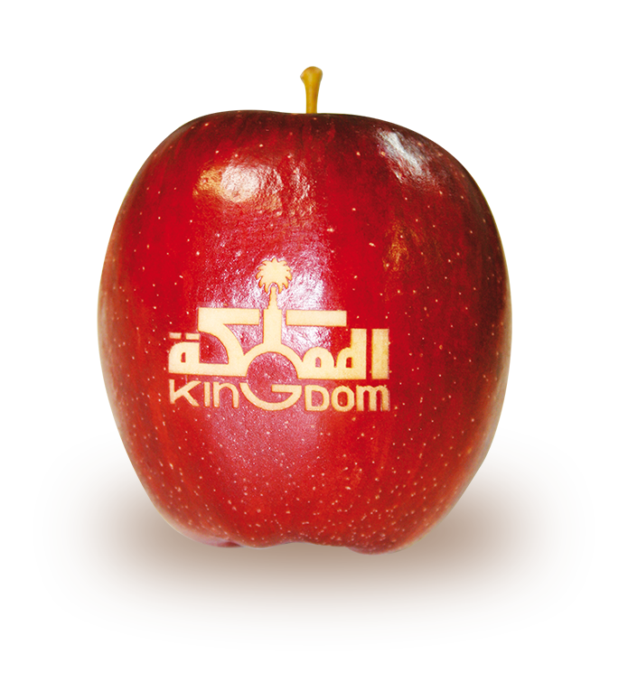 Gravure sur pomme Kingdom 