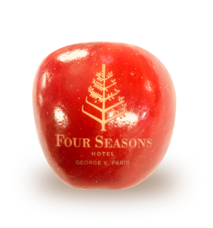 Gravure sur pomme Four Seasons 